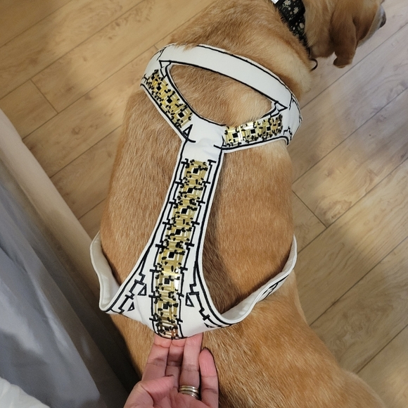 NEW Sass and Bide honourable friend embroidered beaded wedding harness dogs - Picture 4 of 8